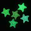 Silicone Luminous Starfish